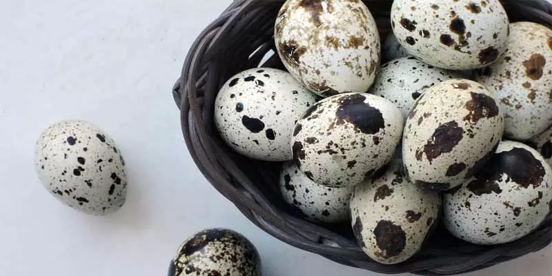 Can You Eat Raw Quail Eggs