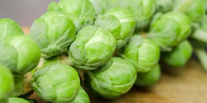 How Long Do Brussels Sprouts Last In The Fridge