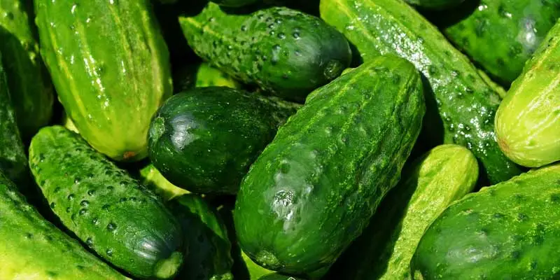 How Long Do Cucumbers Last In The Fridge