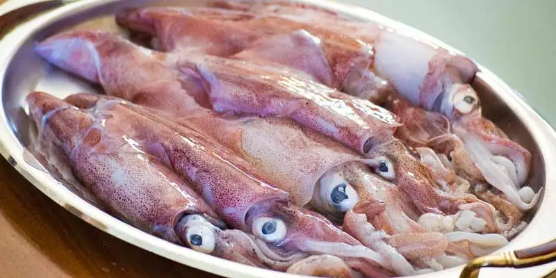 Can You Eat Raw Squid