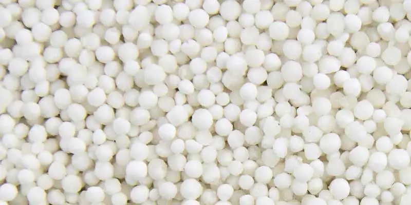 Can You Eat Tapioca Pearls