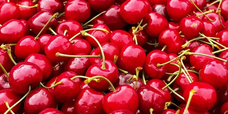 should cherries be stored in the refrigerator