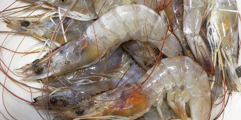 How Long Does Raw Shrimp Last In The Fridge