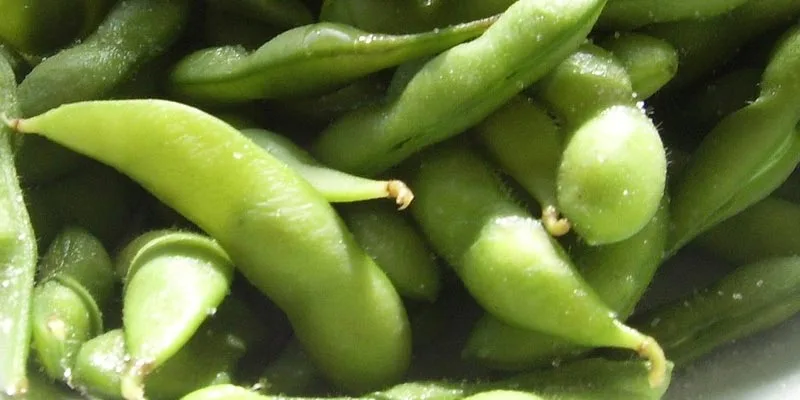 Can You Eat Edamame Shell