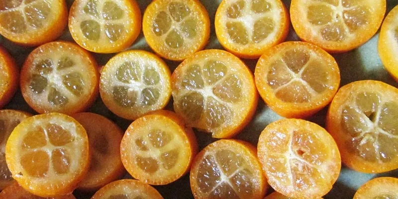 Can You Eat Kumquat Seeds