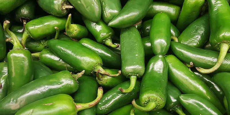 How Long Can Jalapenos Sit Out