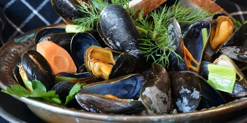 How Long Can Mussels Sit Out