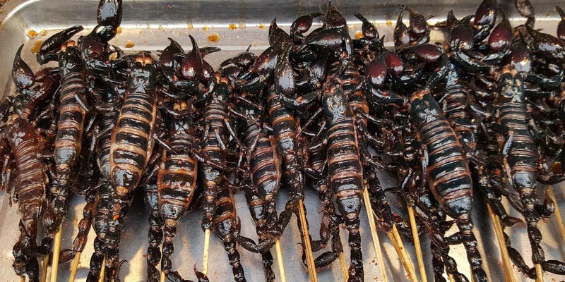 Scorpions that have been fried
